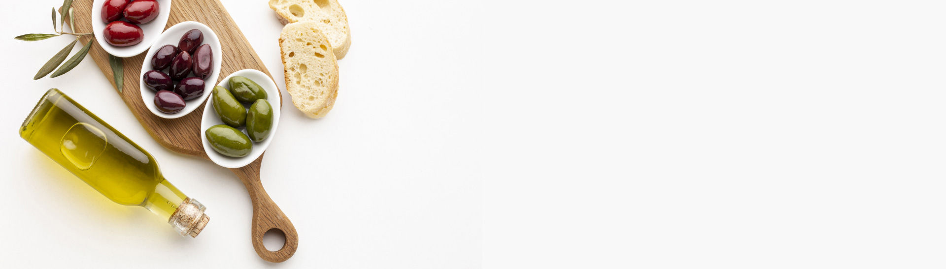 حياة الزيتون